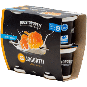 Juustoportti AB-jogurtti 4*120 g lakka laktoositon
